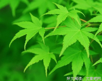 罗素经典句子