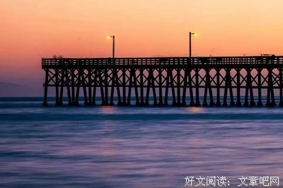 贾平凹：我有病（深度好文）