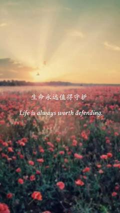 “谢谢你，没有放弃我”