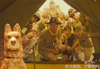 《犬之岛》经典影评10篇