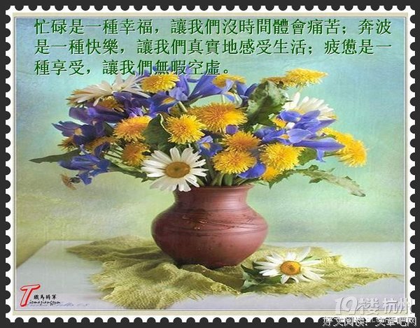 缓慢也是一种幸福的方向