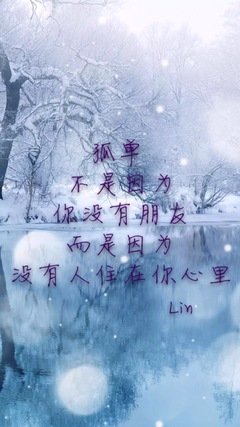 关于七爷的唯美语录