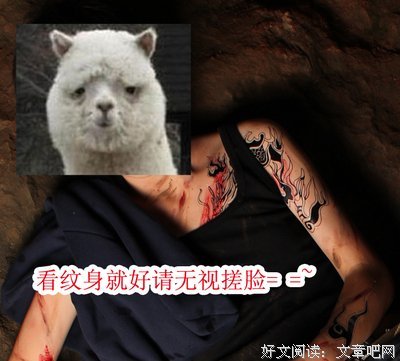 张起灵的名句_关于张起灵的名句