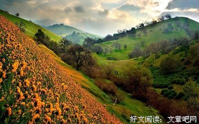 广阔无垠的句子