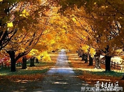最新的《陪你到世界终结》经典名句