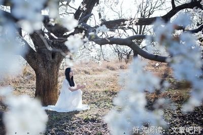 最新的《你只是看起来很努力》语录摘抄大全