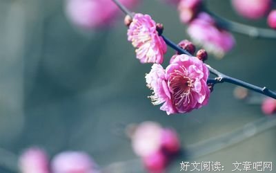 幸福很突然，四月中旬遇到幸福的星座