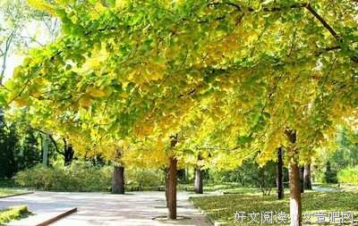 双峰: 神秘史读后感10篇