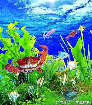 《致深陷海底的你》经典观后感集