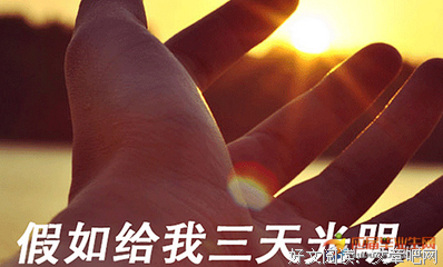 《造物的日常》读后感10篇