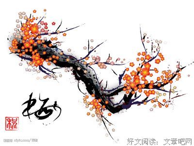 15条关于易术的经典语句