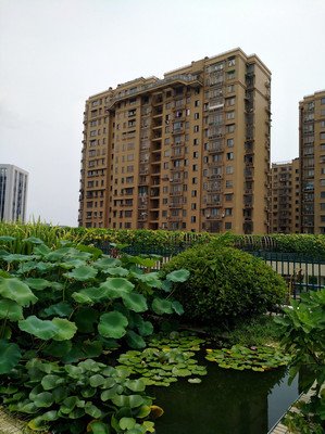 关于所见所闻的名言