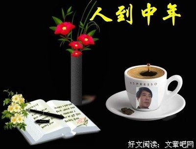 15条关于林文月的经典语句