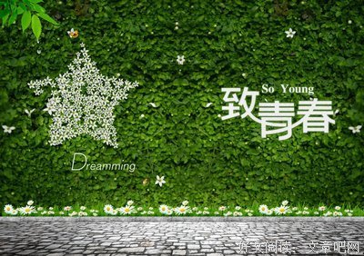 关于夏婉安的语句