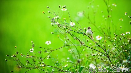 心态，是做人最大的本钱！