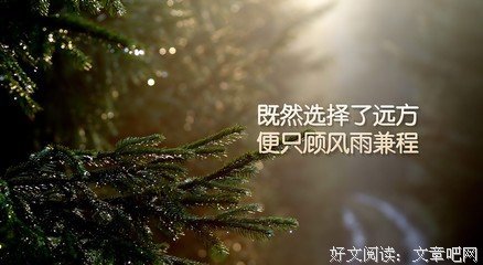 最全的《原来》经典语录大全