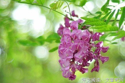 最新的《智慧奥秘》佳句摘抄