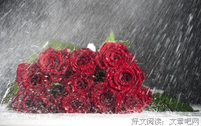 浅浅的名句_关于浅浅的名句