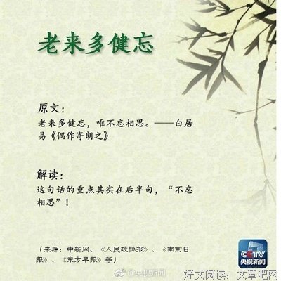 关于老半的格言