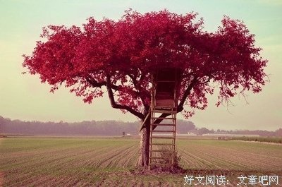 最新的《世界第一初恋》经典语句