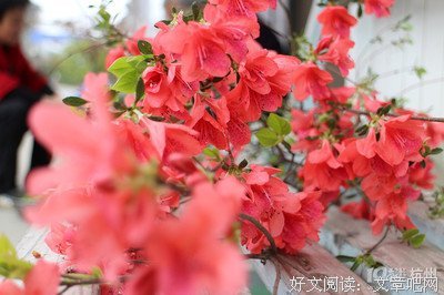 &quot;希望你过的不坏，但不能比我好&quot;丨女孩间的友
