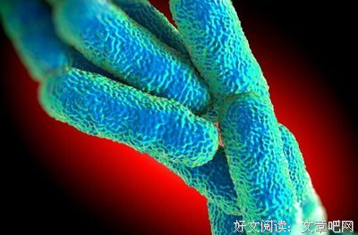 每分钟七人感染的致命毒物，四千年来没人真正了解它