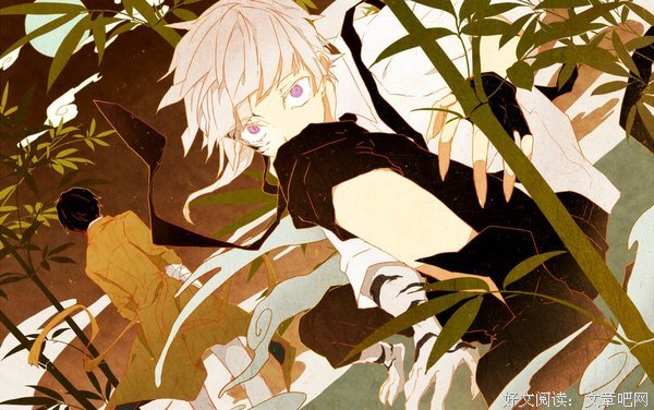 《文豪野犬》影评10篇