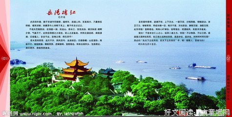 舞文詅痴读后感精选10篇