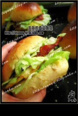 2017培根精彩语录