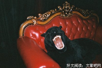 15条关于神清气爽的经典语句