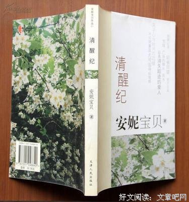 最全的《清醒纪》小说摘抄
