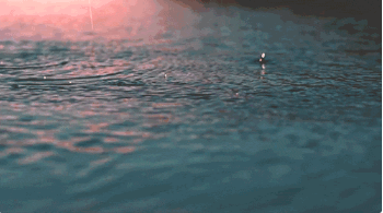 今夜，有雨敲窗......