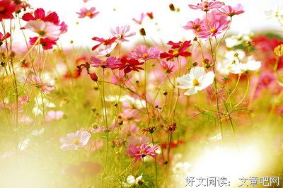 最经典的星零经典名句