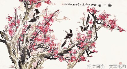 关于木清的名言
