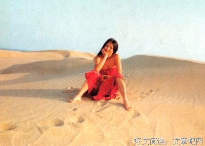 最经典的《九个故事》语录摘抄大全