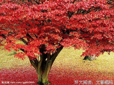 最全的《空间》经典的句子