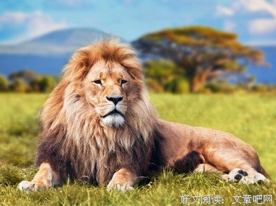 这五种人是前世畜生投胎，遇到请马上远离！