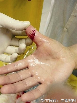 不爱我，别伤我经典读后感10篇