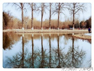 夜读：45度做人，90度做事