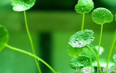 最全的蒋勋经典句子