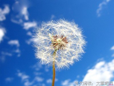 野心家15句经典名言