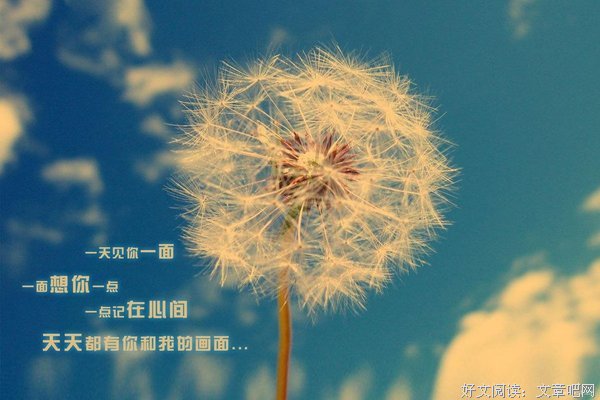 好的爱情，是1/2+1/2=1
