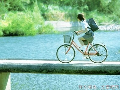 关于元芳的语句