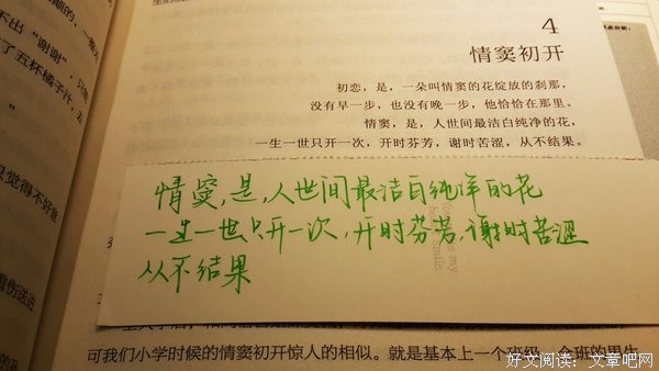 最全的《那些回不去的年少时光》语录摘抄