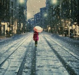 关于雪月风花的唯美语录