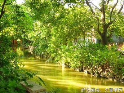 再见了，亲爱的读者朋友--忆乡坊停办声明