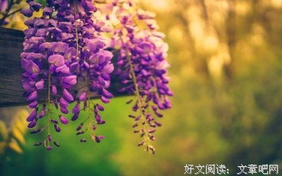 为什么我会每晚都梦到他？ by林孑