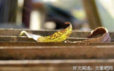 《荆棘之路》的影评10篇