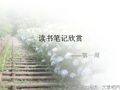 最全的《路途遥远，我们在一起吧》语录摘抄