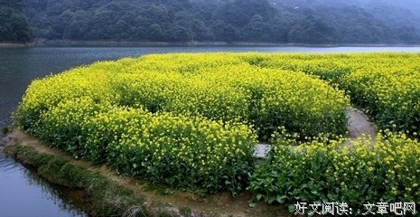 整个春天我都没想你